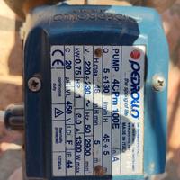 motere per autoclave pedrollo da 1 HP