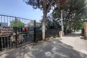 TERRENO A PALERMO