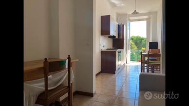 Trilocale zona stadio( no agenzie)