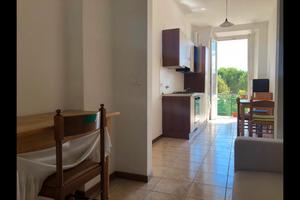 Trilocale zona stadio( no agenzie)