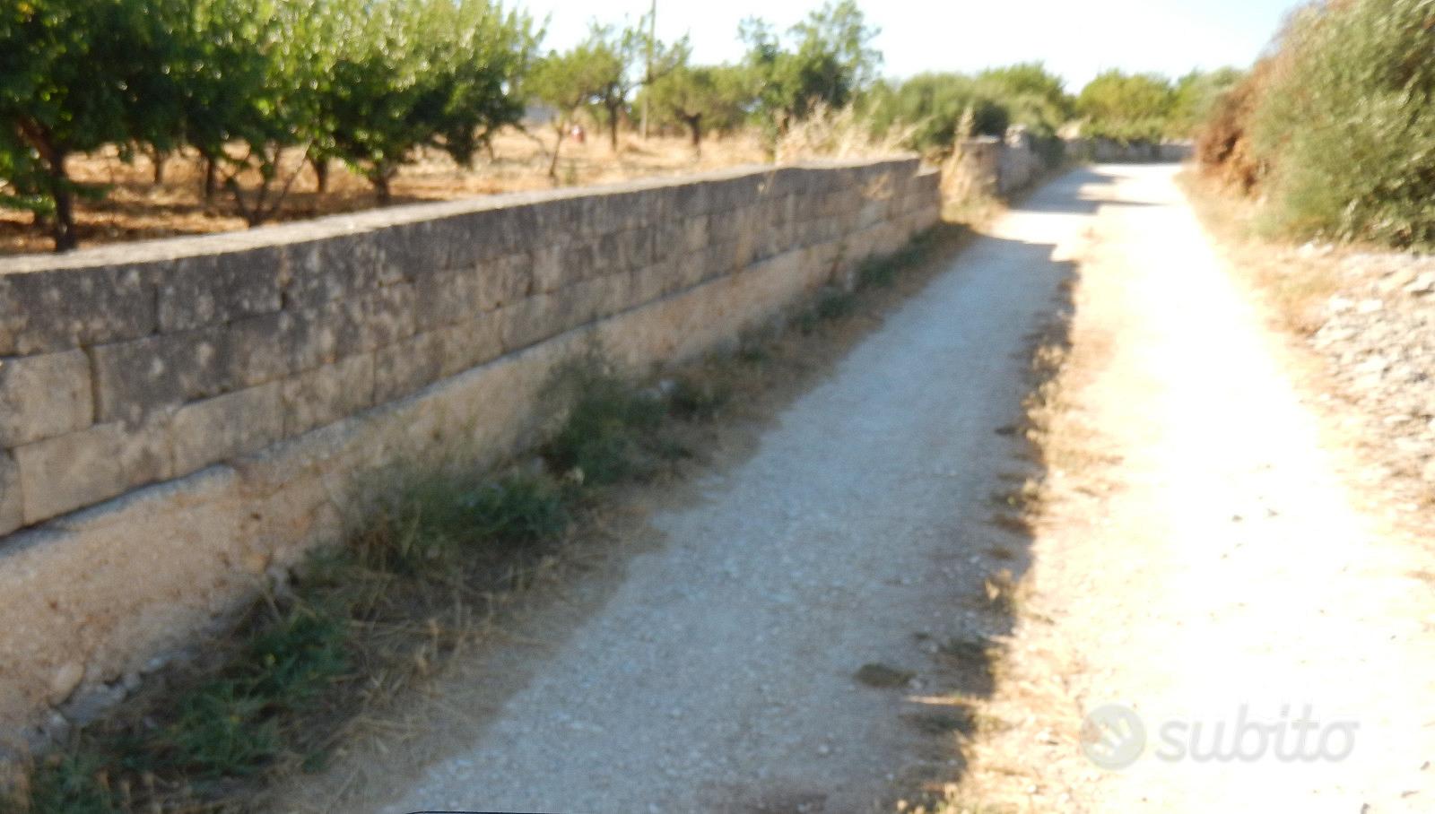 Vendita Casa Rurale + Terreno - Vista 5