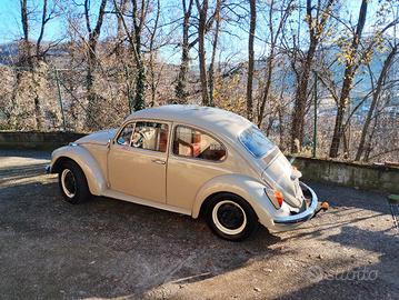 volkswagen Maggiolino d'epoca 