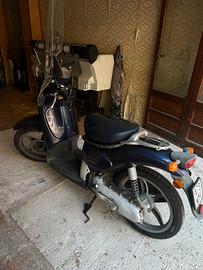 Scarabeo Campus 50cc