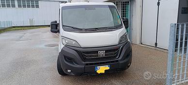 Fiat Ducato  Serie 8