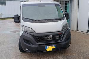 Fiat Ducato  Serie 8