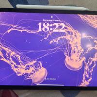 ipad pro 11 256 gb + apple pencil pro