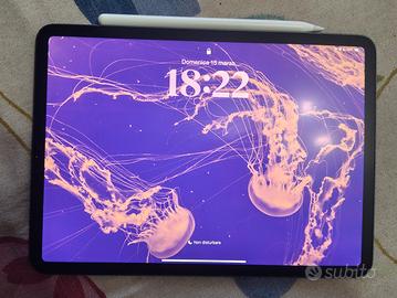 ipad pro 11 256 gb + apple pencil pro