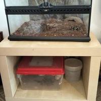 Terrario Exo Terra da 45cm