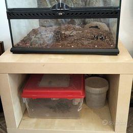 Terrario Exo Terra da 45cm