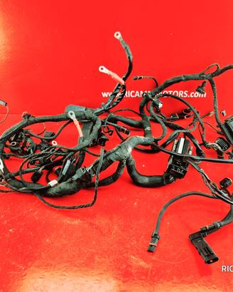 IMPIANTO SENSORI BMW R1200ST