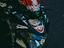 Immagine 5