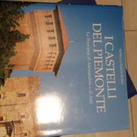 I castelli del piemonte
