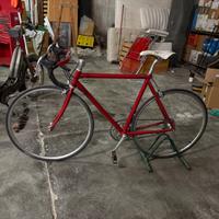 Bici da corsa Campagnolo