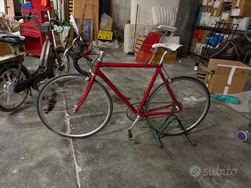 Bici da corsa Campagnolo