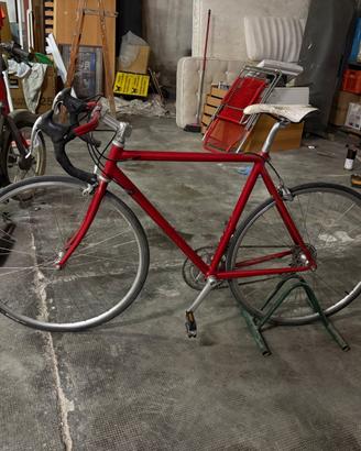 Bici da corsa Campagnolo