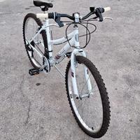 Mountain-bike 