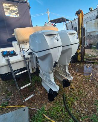 Coppia motori evinrude e-Tec 40 hp