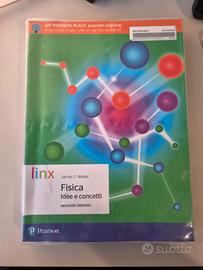 Fisica, idee e concetti per il secondo biennio