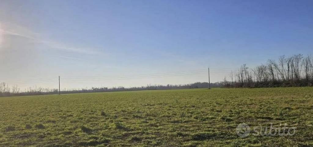 Immobile in asta di 54095 m² a Dairago - Vista 4