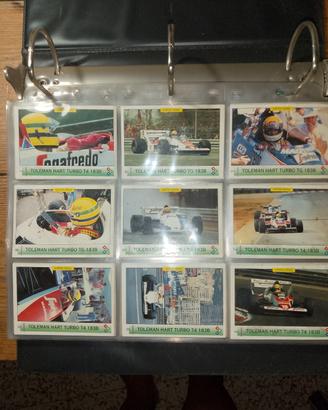 Ayrton senna card
