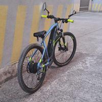 Bicicletta elettrica