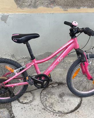 Bicicletta bambina  20