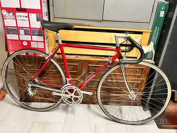 Bici da corsa olmo