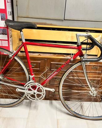Bici da corsa olmo