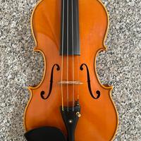 Violino