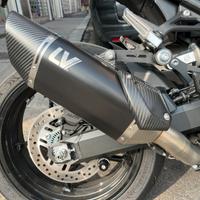 Terminale leovince z900 2025-2026