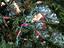 Immagine 3