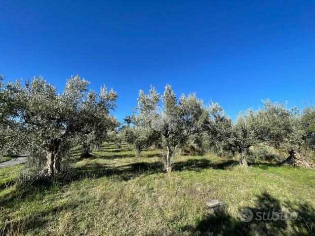 TER. RESIDENZIALE A SAN PIETRO IN GUARANO