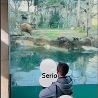 Assistente domestico autista serio automunito