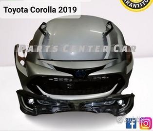 Musata completa toyota corolla 2019