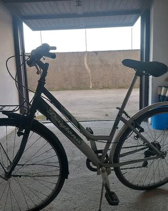 Bici da donna 