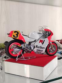 Cubi in vetro per esposizione