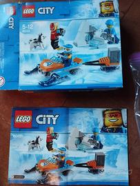 Lego arctic