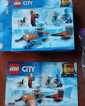 Lego arctic