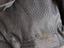 Immagine 6