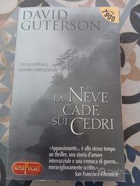 La neve cade sui cedri