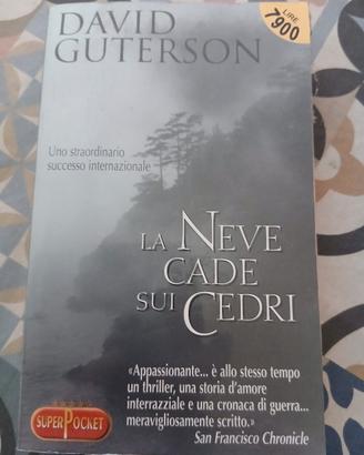 La neve cade sui cedri