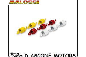 Serie molle frizione RACING per maxi scooter