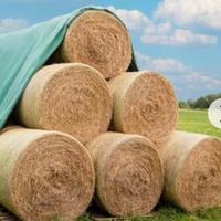 10 balloni fieno 500 kg anno 2025 ritiro Sgonico