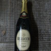 Franciacorta Berlucchi e Bellavista