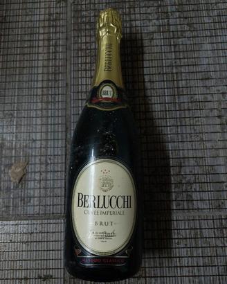 Franciacorta Berlucchi e Bellavista