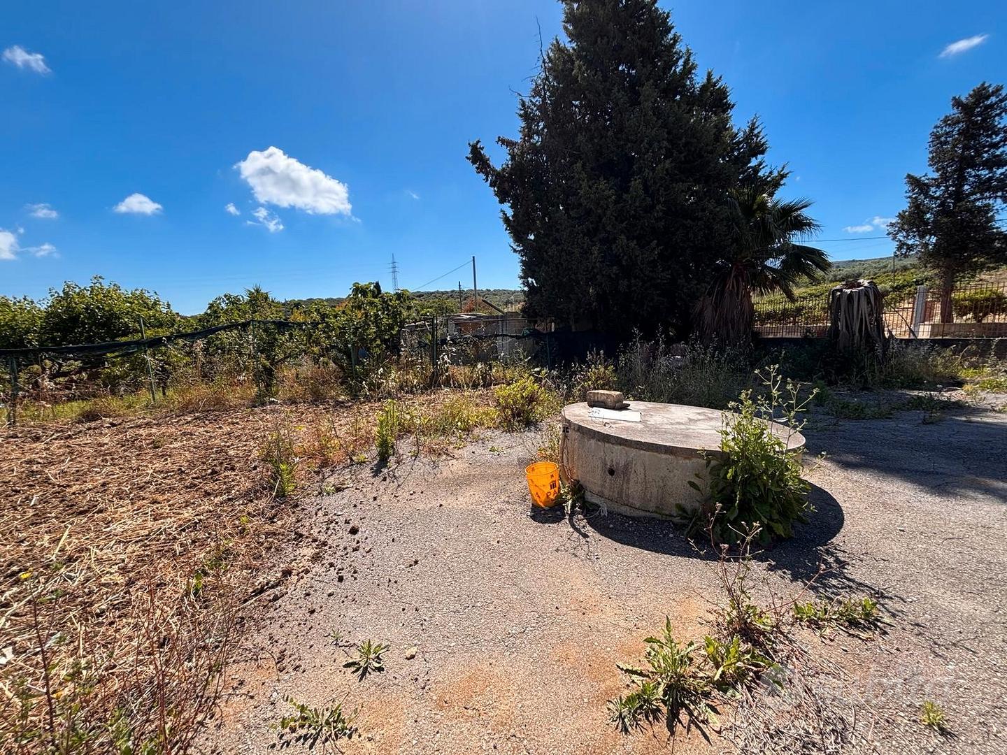Terreno 5.000 mq - Vista 5