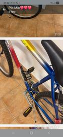 bicicletta