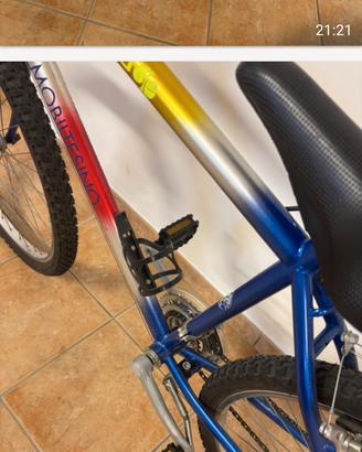bicicletta