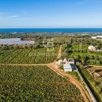 Terreno agricolo - Polignano a Mare