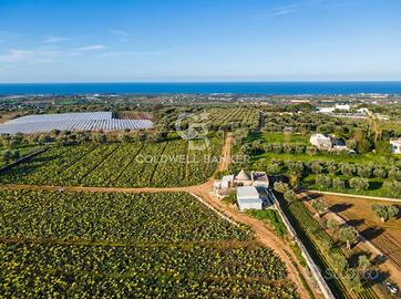 Terreno agricolo - Polignano a Mare